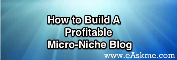 How to Build Micro Niche Site Make Money : eAskme How to Build Micro Niche Site Make Money : eAskme