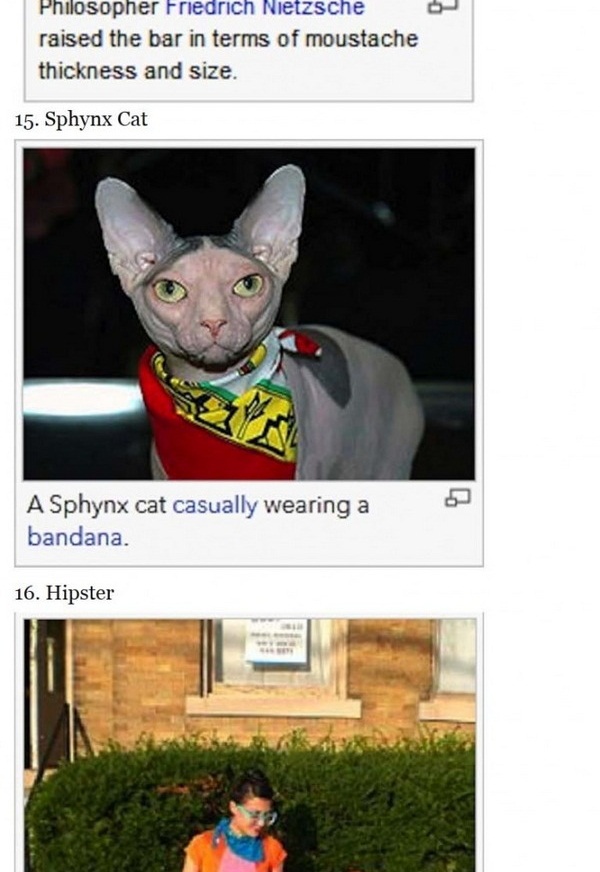 Beer And Stupidity 24 Ridiculous Wikipedia Picture Captions