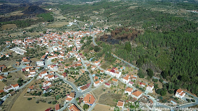 Salgueiro do Campo