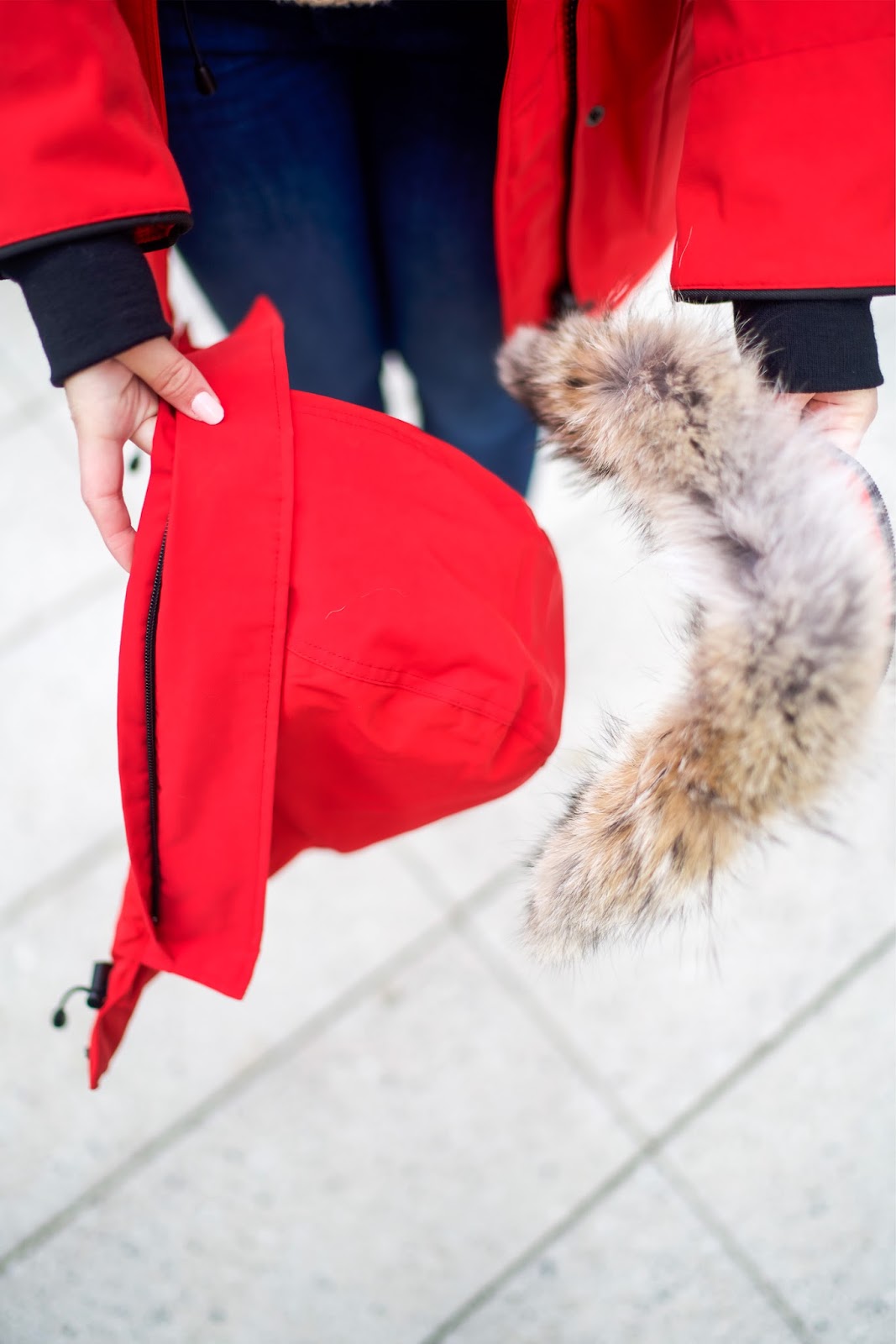 Canada Goose Review: Trillium vs Shelburne Parka | New York City