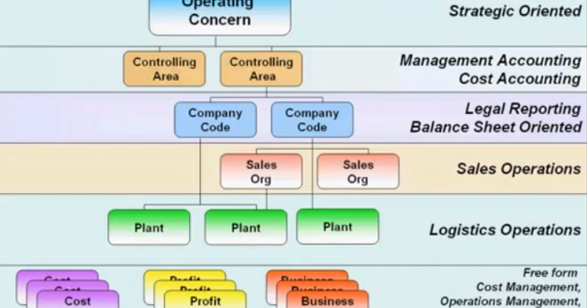 SAP Organizational Structure ~ SAP Online Training (sryitolutions.com)