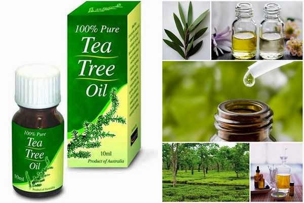 Tea tree oil for Male Yeast Infection
