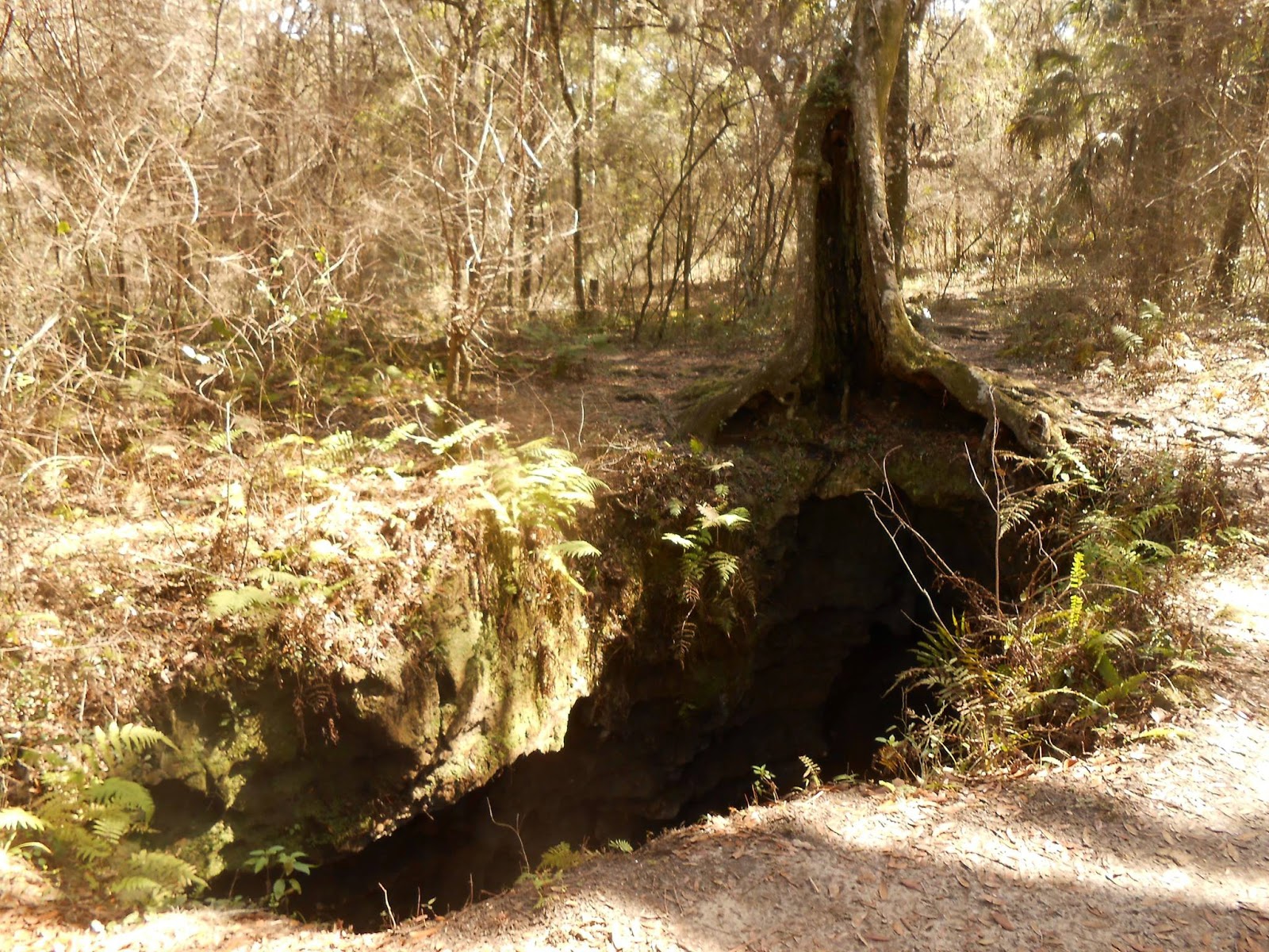 Dames Cave Cave Spelunking in Florida Lost Girls Adventures