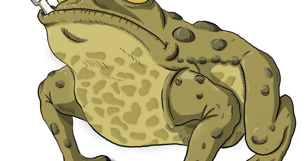 D&D Basic Monsters: Giant Toad.