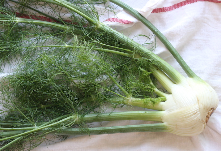 fennel bulb for coleslaw