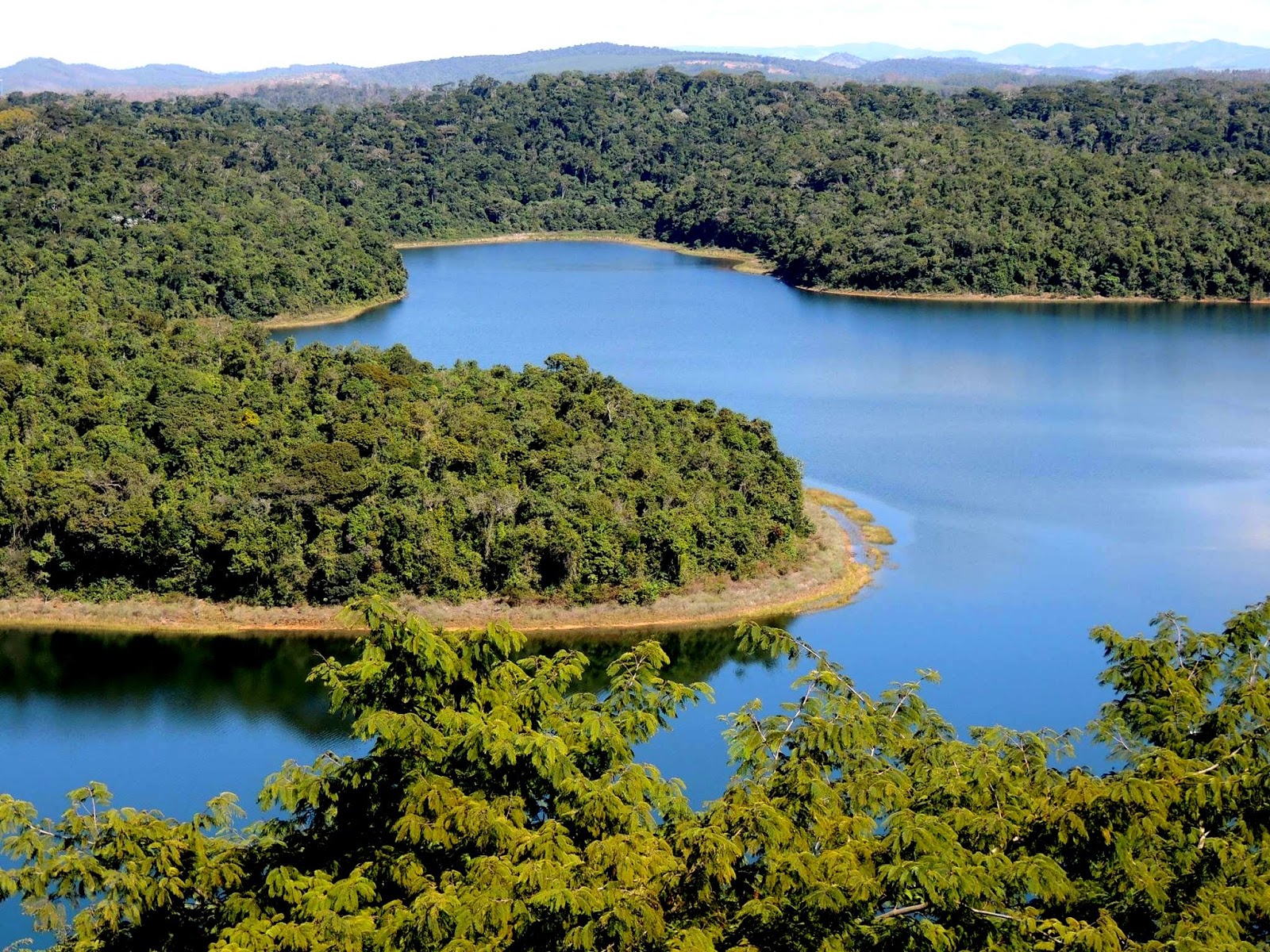 A exuberância do Parque Estadual do Rio Doce Conheça Minas A exuberância do Parque Estadual do Rio Doce Conheça Minas