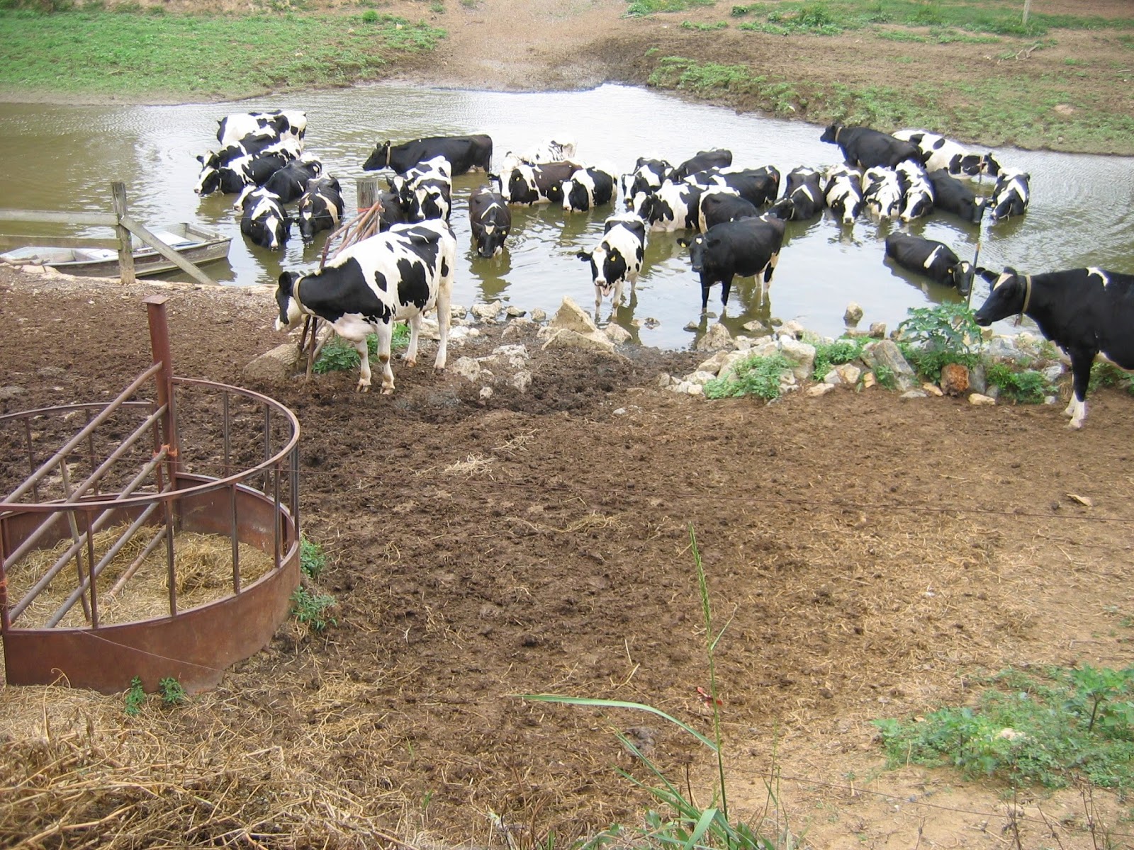 PA Environment Digest Blog: CBF-PA: Conservation District Farm