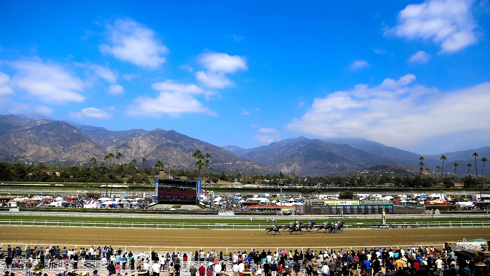 Horse Racing Santa Anita Schedule Horse Choices