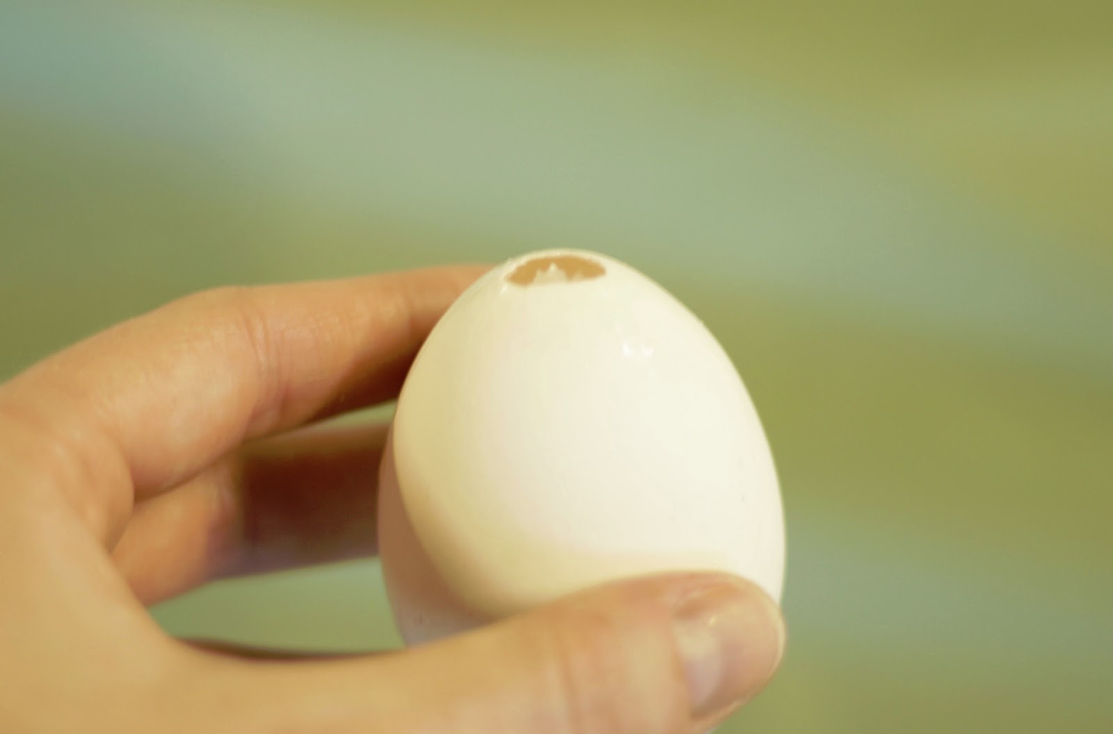 everyBODY Beauty Blog by Voyageur Soap & Candle Co.: March 2013 Why Do Easter Eggs Have Holes
