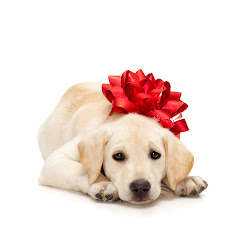 ipad christmas wallpapers dogs