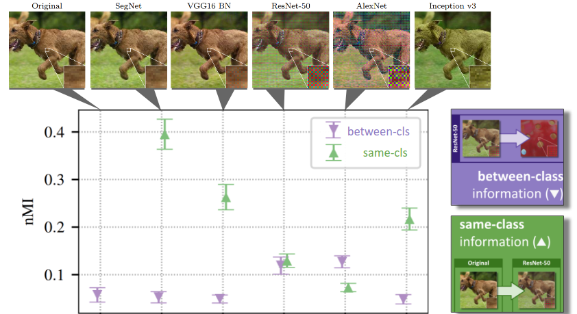 What do Deep Networks Like to See?