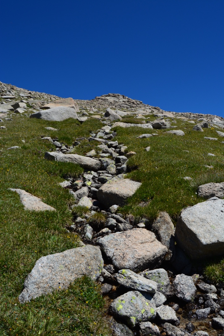 Home on the Range: Tallest Ridge