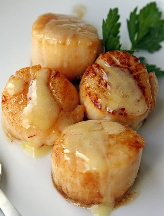 Seared Scallops with Saffron Sauce The Best Recipes