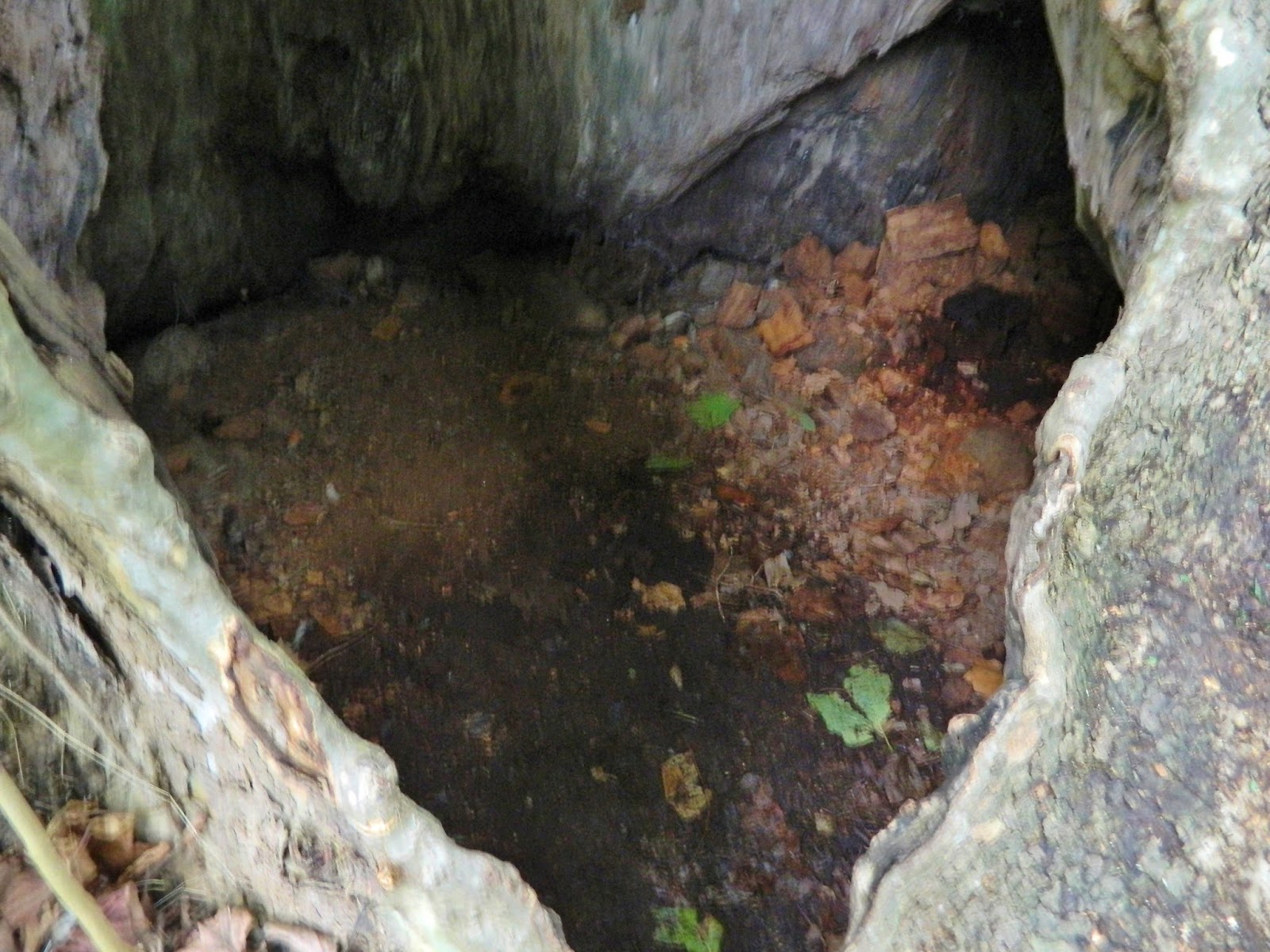 Jeromesville Sycamore Festival Jeromesville, Ohio