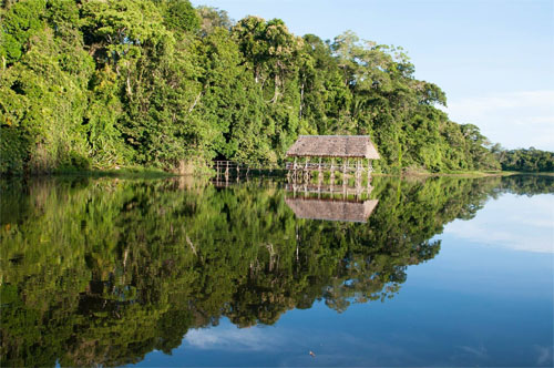 Reserva Comunal Amarakaeri