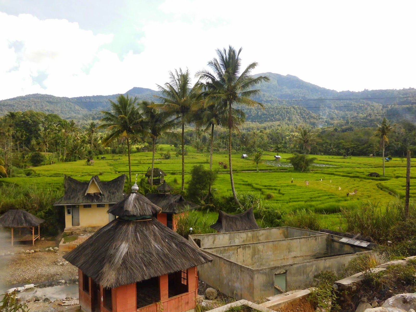 Perjalanan dan Pelajaran: GUNUNG SORIK MARAPI.