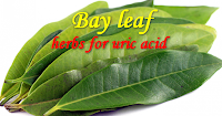 Best Herbal Remedy Uric Acid Best Herbal Remedy Uric Acid