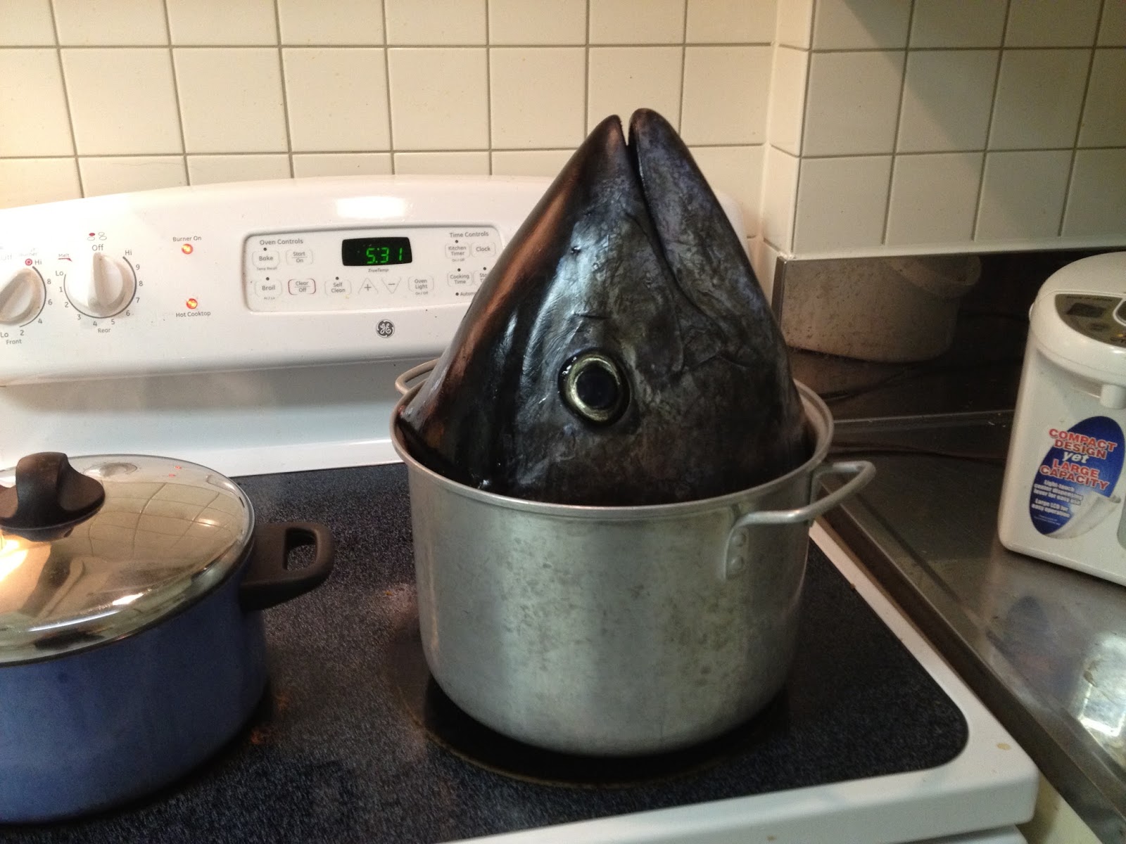 How to Cook Tuna Head Recipe Easily? Try This! Tuna Skipjack Frozen