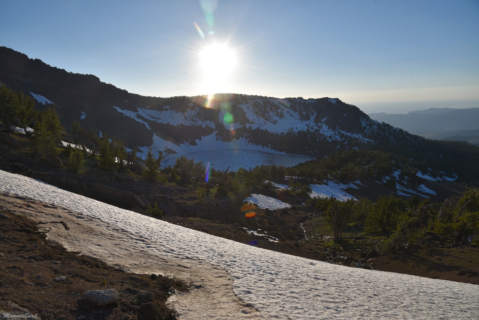 Mamma Quail Hiking California Almost But Not Quite Up to Patterson Lake