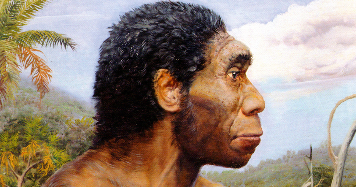 Человек прямоходящий. Архантропы (homo Erectus). Человек прямоходящий homo Erectus. Человек прямоходящий Африки homo Erectus. Homo Erectus (человек прямоходящий), или питекантроп (1,6 млн лет до н.э.)..