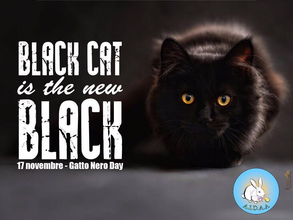 Associazione Italiana Difesa Animali Ed Ambiente Oggi E Il Gatto