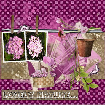 lo 3 Lovely nature flowers