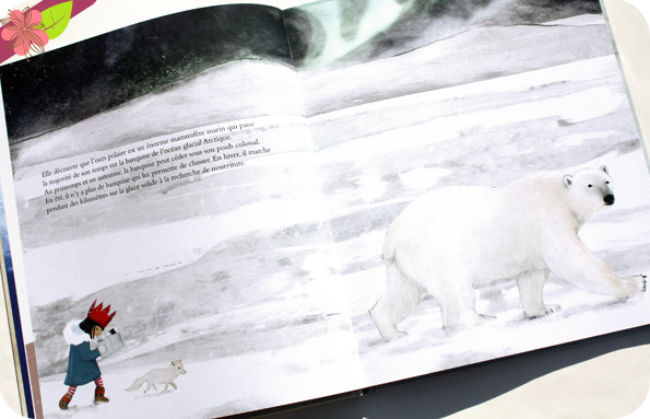 L’ours polaire de Jenni Desmond - Les éditions des éléphants