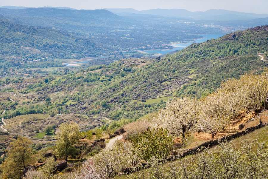 El Valle del Jerte en floración