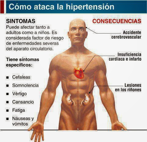 presión sanguínea alta en el cuerpo humano