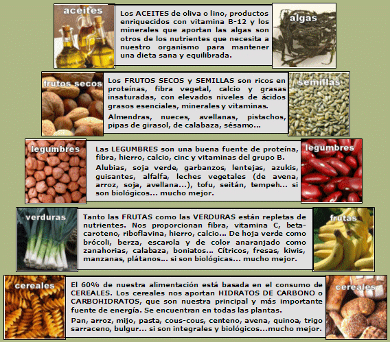 Dieta vegana sin cereales