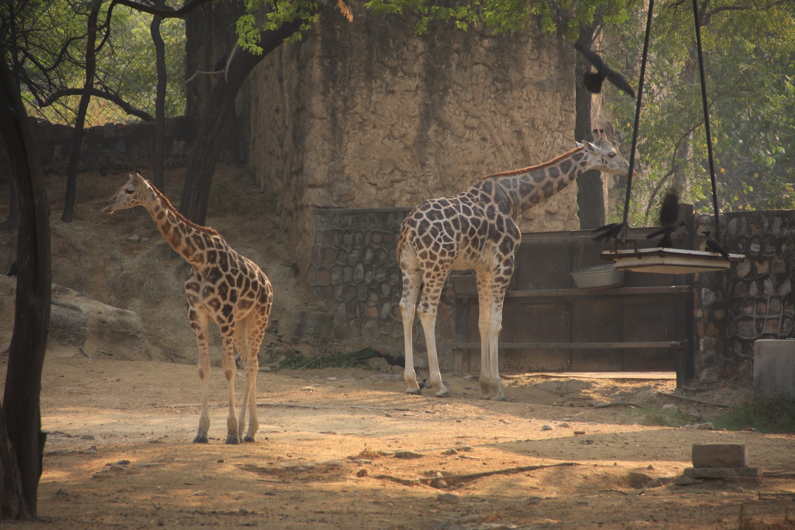 Citizen Inspection Reports: National Zoological Park / Delhi Zoo