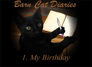 Barn Cat Diaries 1: My Birthday Juegos de Escape