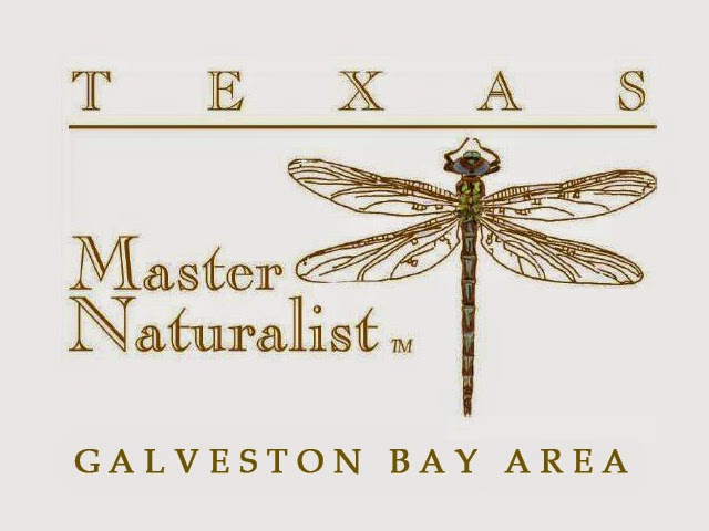 Texas Master Naturalist