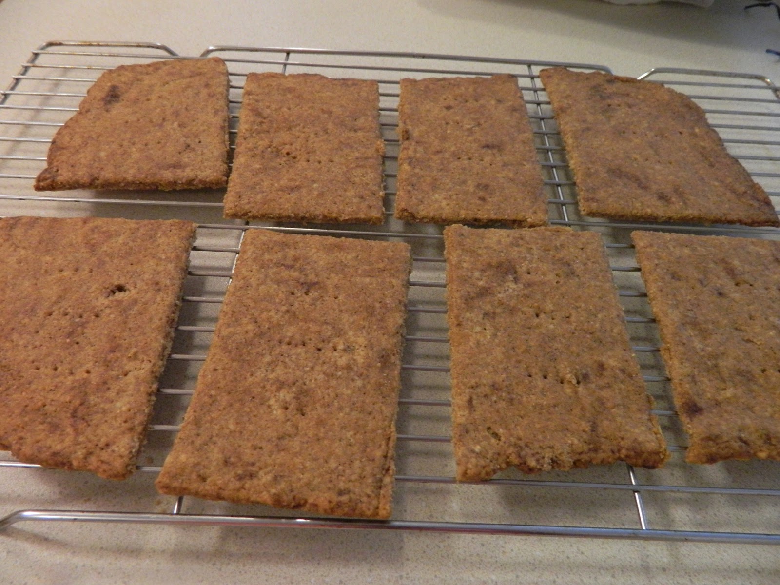 Ginny's Low Carb Kitchen GRAHAM CRACKER FLATBREAD