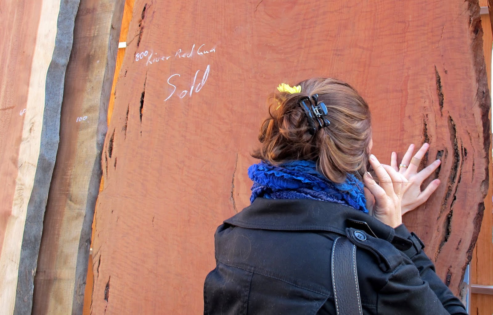 Sydney Daily Photo Beautiful timbers Timber and working with wood