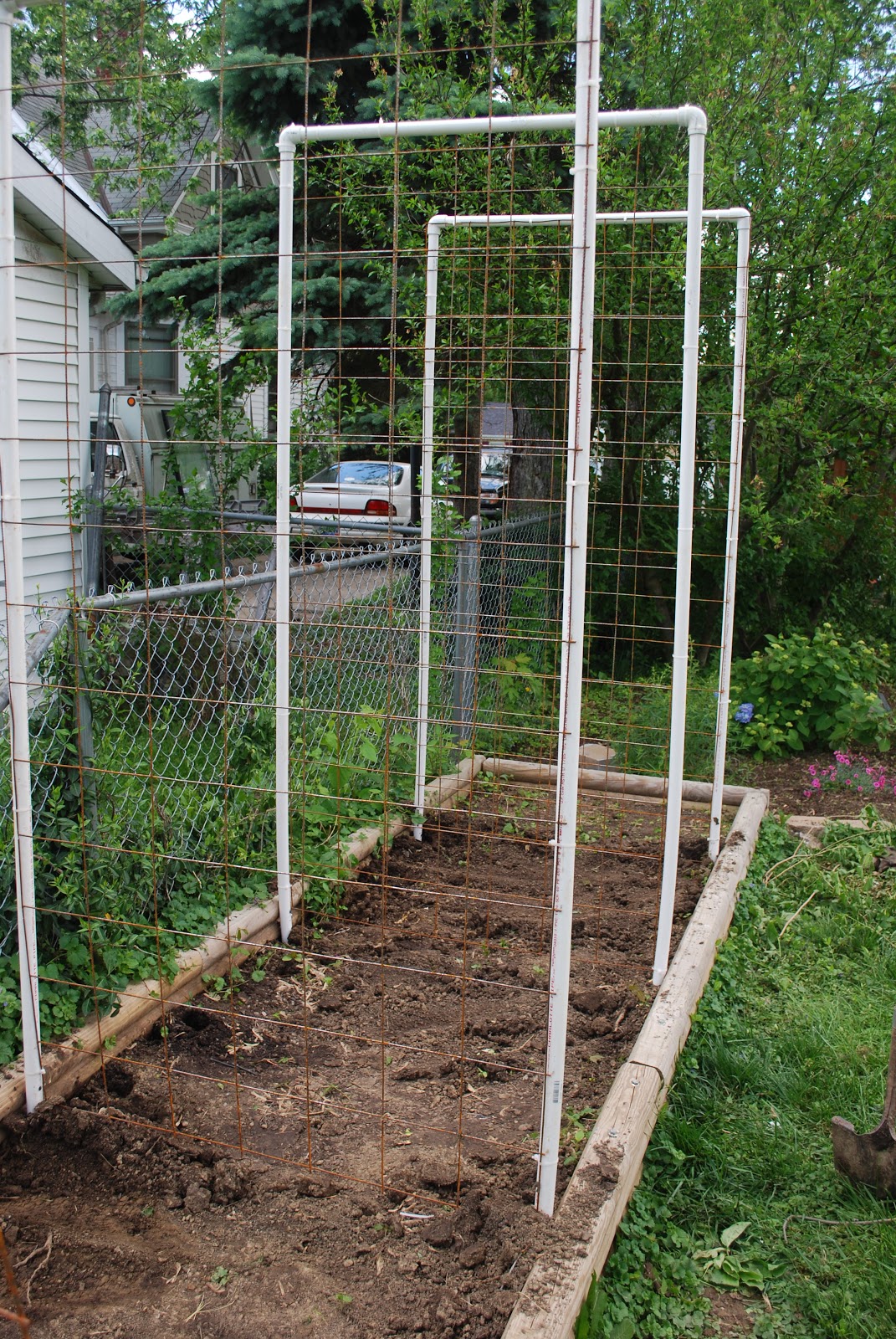 heartache and home arts: Vertical Cucumber Frames