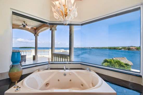 Bathroom with a view