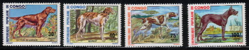 1974年コンゴ民主共和国　アイリッシュ・セター　ボルゾイ　ポインター　グレート・デーンの切手