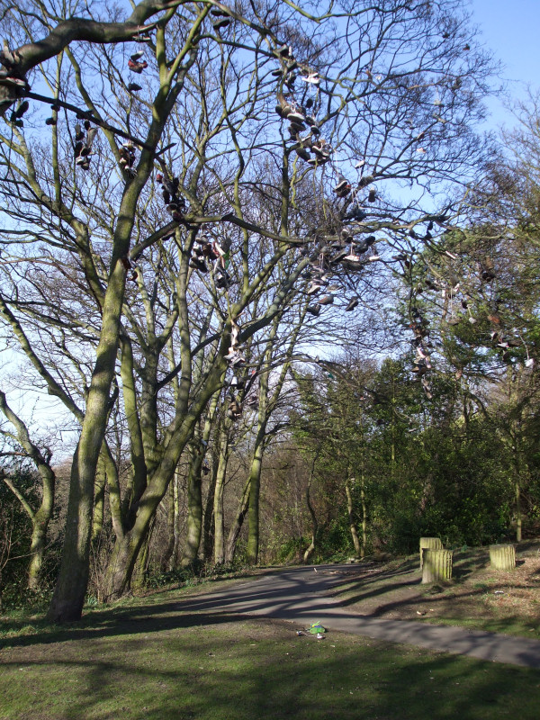 Photographs Of Newcastle Armstrong Park The Shoe Tree