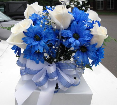 Beauty Flower For Have Fun: Flowers wallpapers desktop backgrounds.