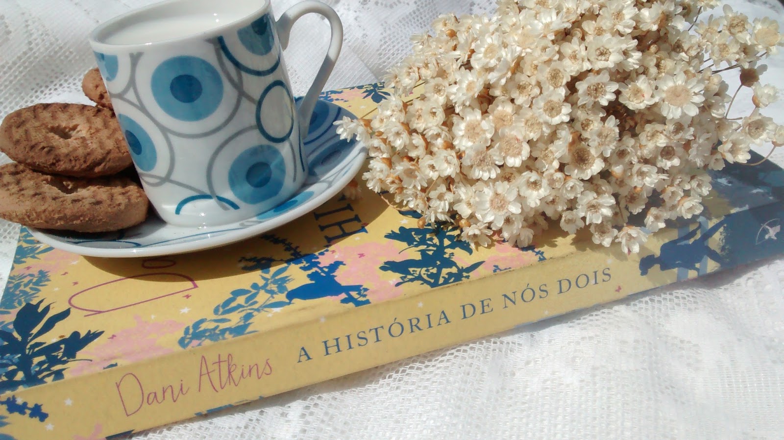 Blog Coisas de Mineira Resenha, romance contemporaneo,