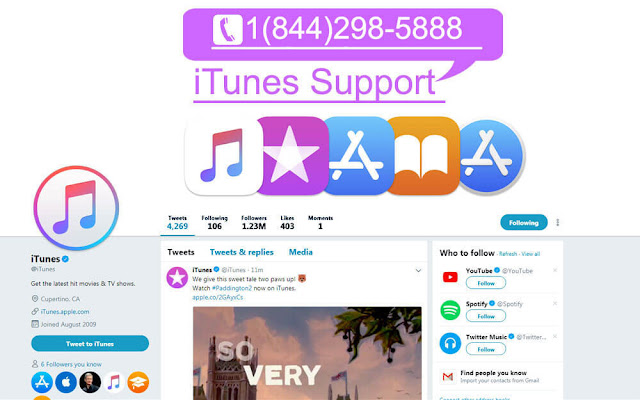 itunes support