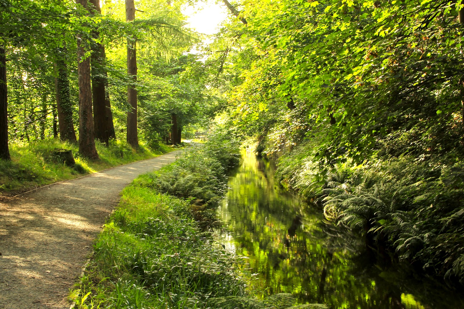 Travelling Diary Trekking to Horseshoe Pass and Falls, North Wales