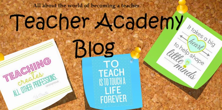 Teacher Academy Blog