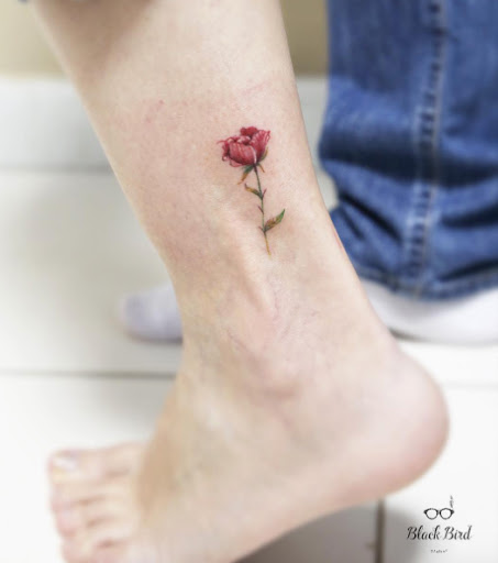 Esta bela flor vermelha Esta bela flor vermelha