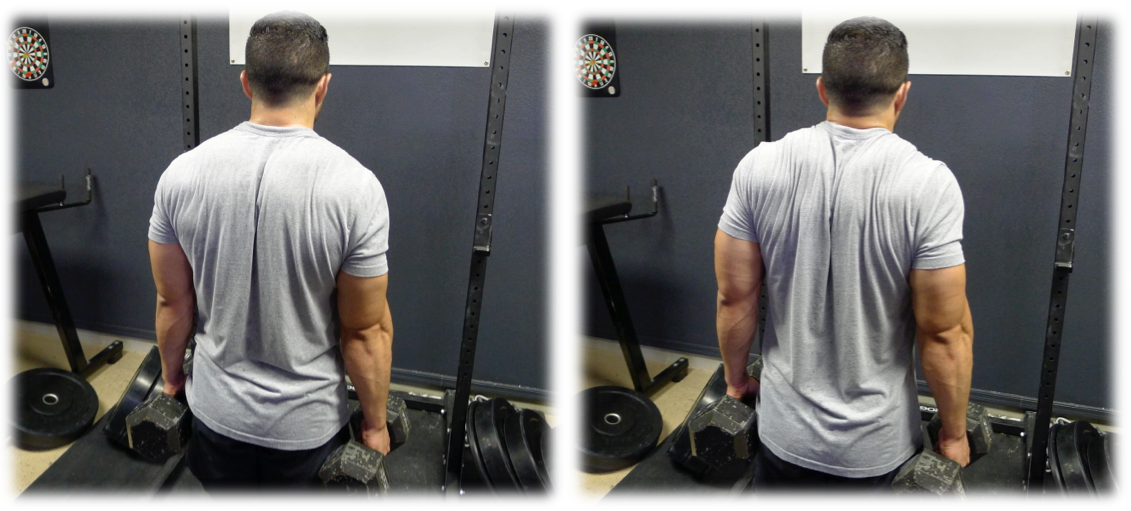 shrugs by bill starr Bill Starr strength training for sport