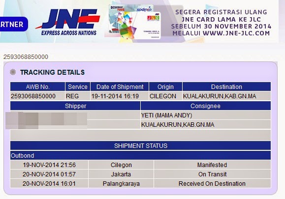 Guntur Sapta: Cara Cek Resi JNE