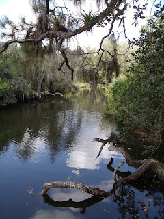 Estero River Estero River