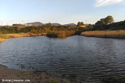 Vista frontal de l'Estany Gelat