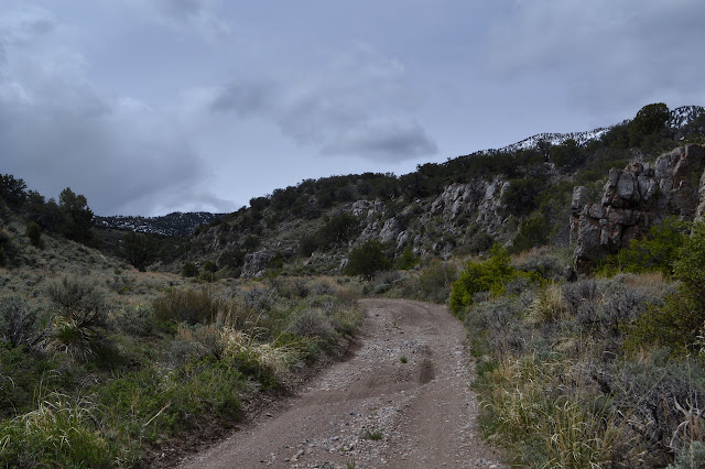 McEllen Canyon